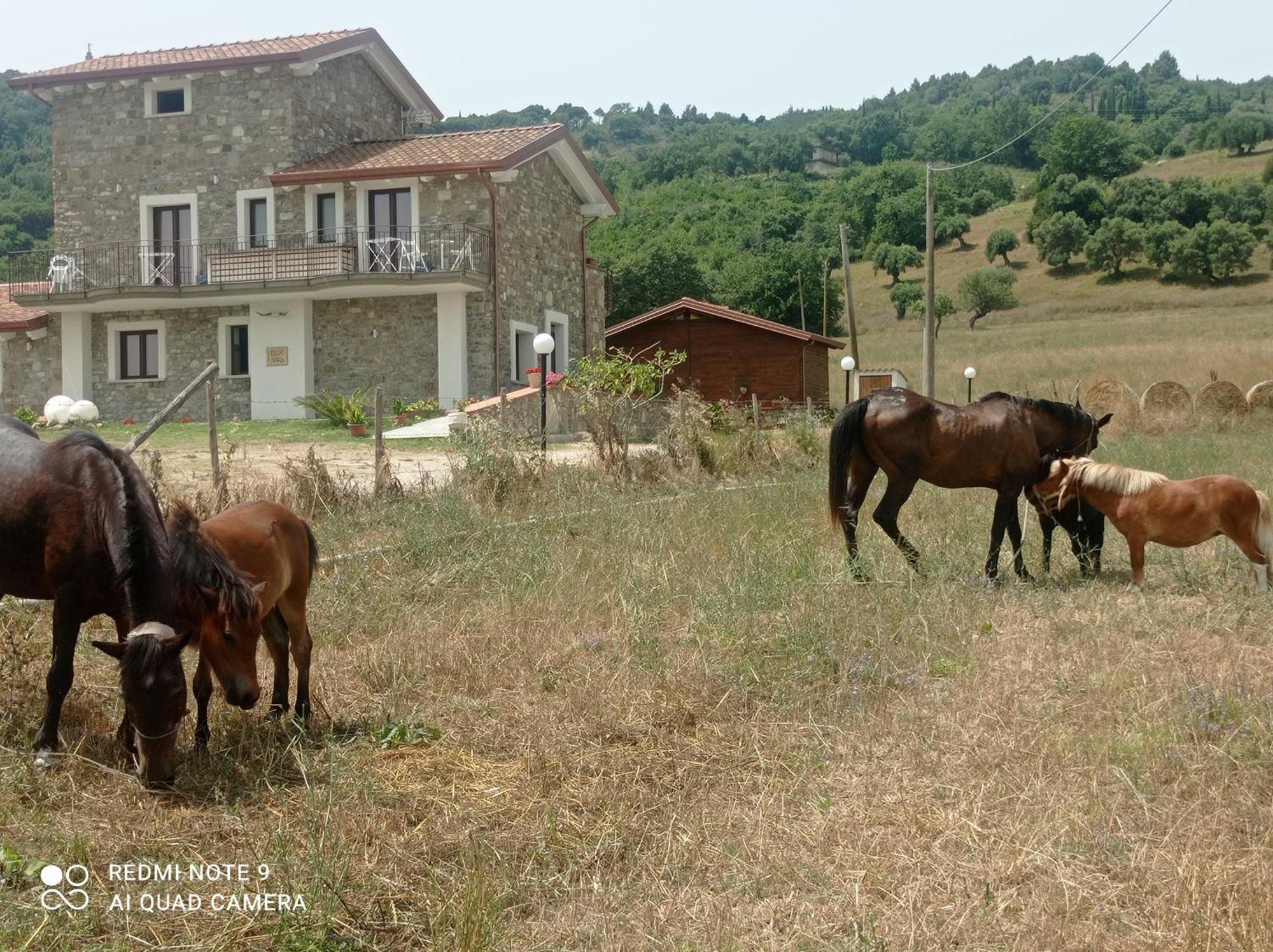 Lux Vera B & B Agropoli Zewnętrze zdjęcie